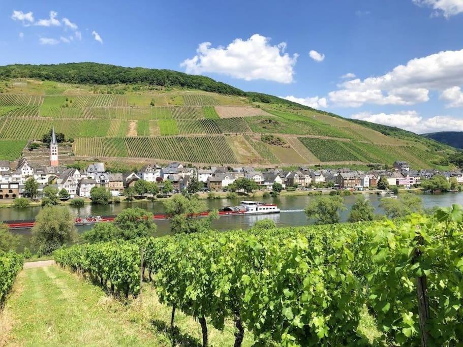 Ferienhaus Schwanennest Zell an der Mosel Bagian luar foto